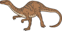 Coelophysis